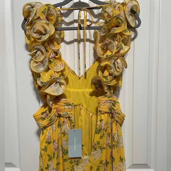 NWT ANTONIO MELANI
Manila Floral Print Rosette
Sleeveless V-Neck Maxi Dress - Picture 6 of 6
